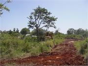 apertura de calles villas tisu (1)